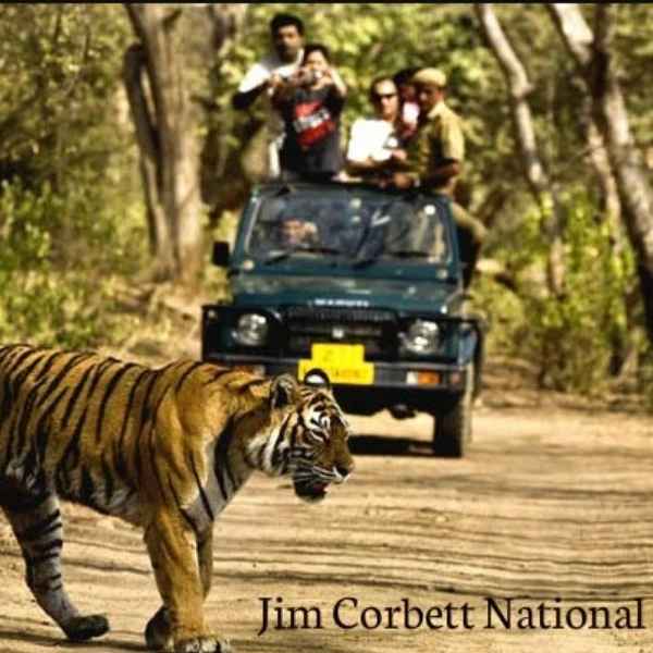 Weekend Getaways from Delhi by Bus
