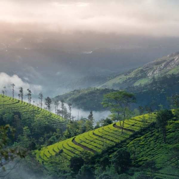 Best Hill Stations in South India